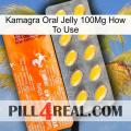 Kamagra Oral Jelly 100Mg How To Use new05